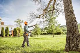 Lawn Irrigation Installation and Maintenance in Johns Creek, GA